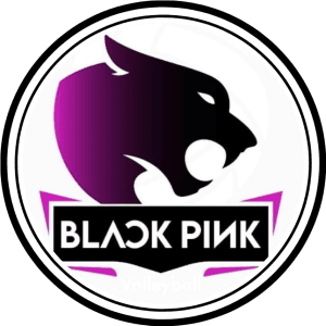 Leia mais sobre o artigo BLACKPINK
