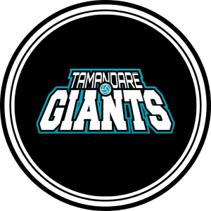 Leia mais sobre o artigo TAMANDARÉ GIANTS