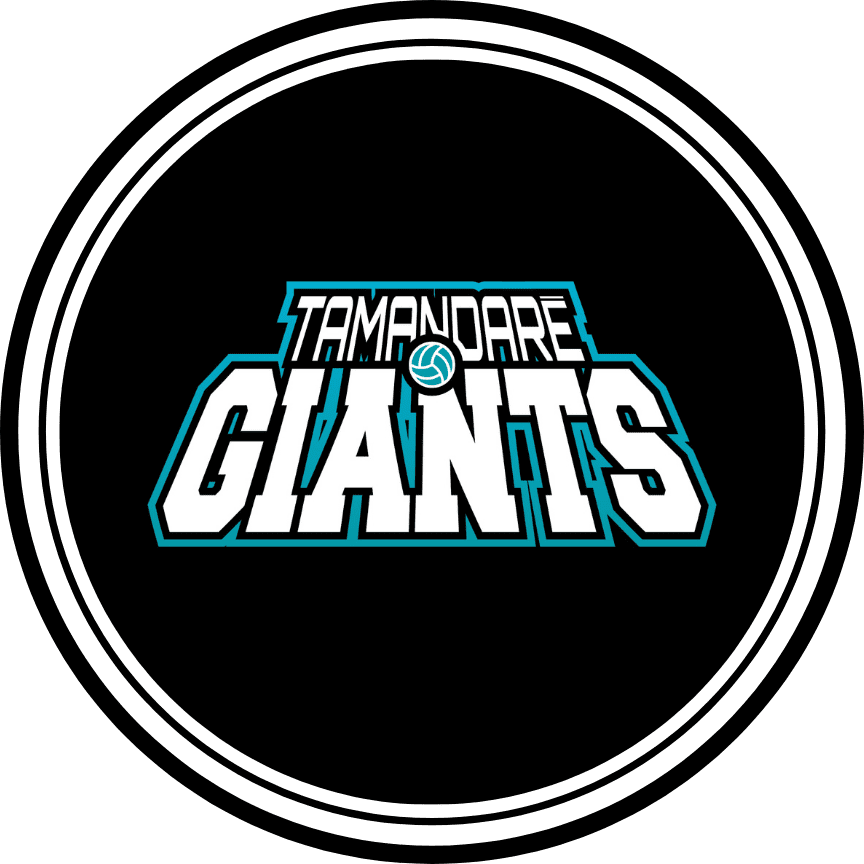 No momento, você está visualizando TAMANDARÉ GIANTS