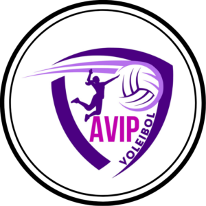 Leia mais sobre o artigo AVIP/SJP