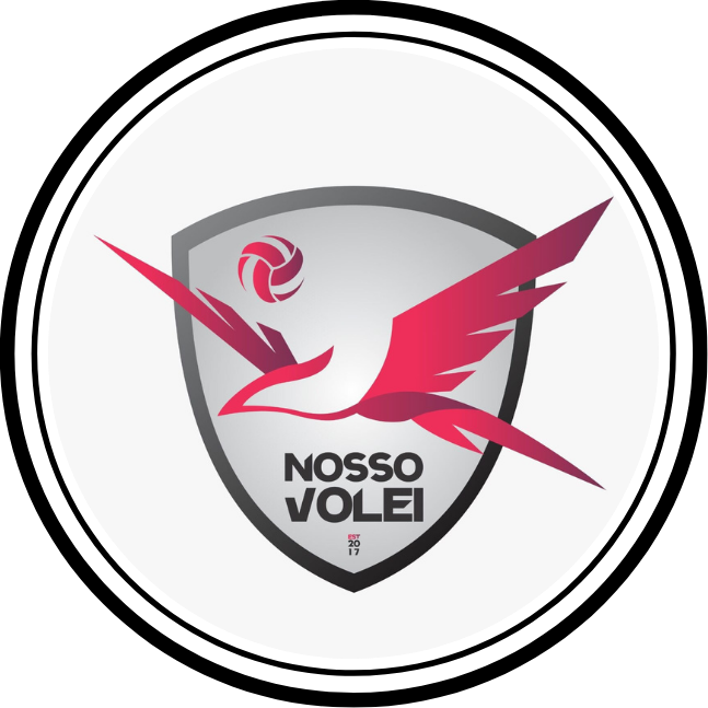 No momento, você está visualizando NOSSO VOLEI