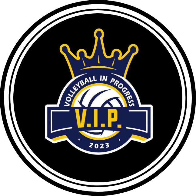 No momento, você está visualizando VIP